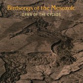 Dawn of the Cycads