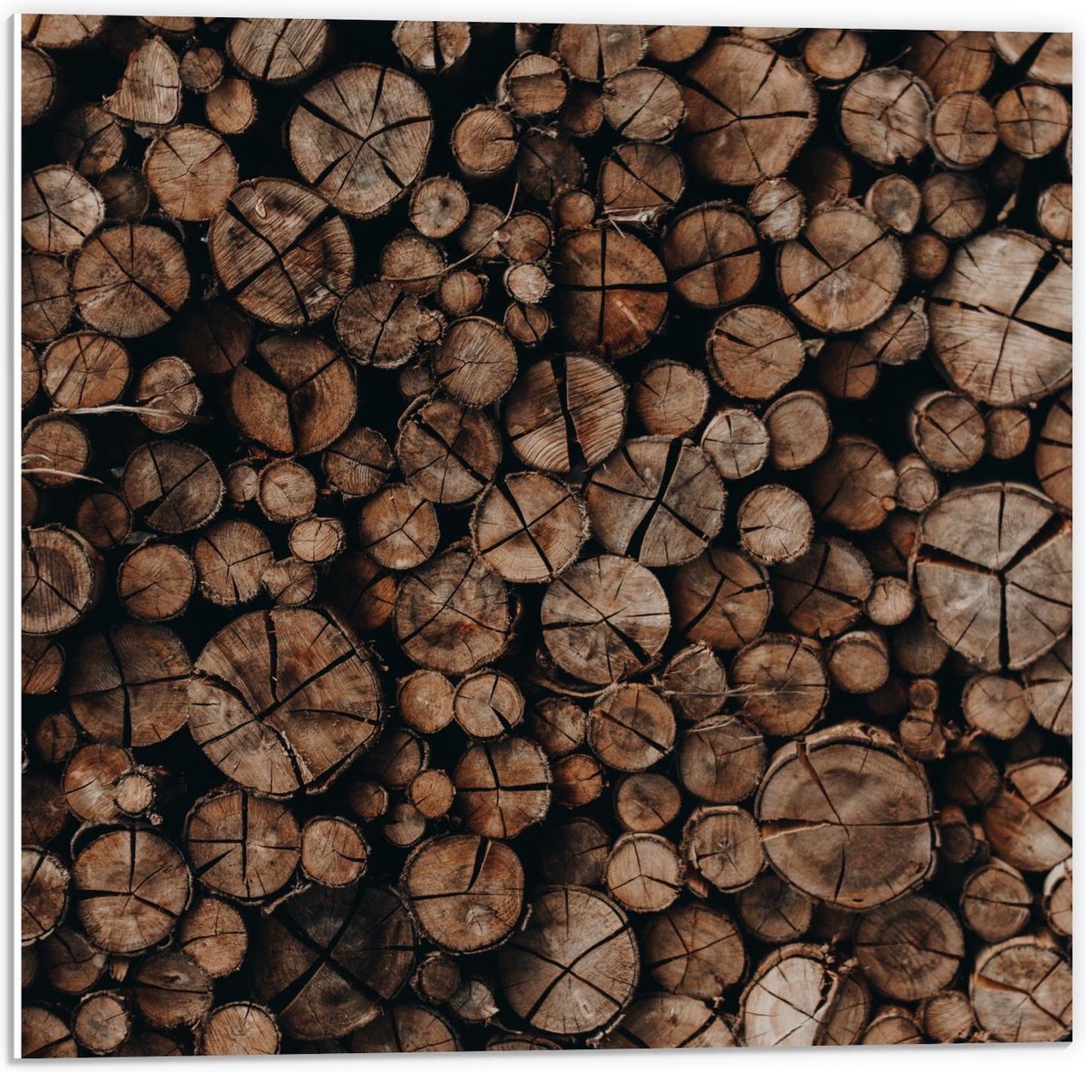 Forex - Houten Palen Opgestapeld - 50x50cm Foto op Forex