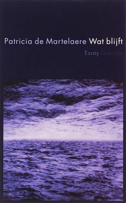 Cover van het boek 'Wat blijft' van P. de Martelaere