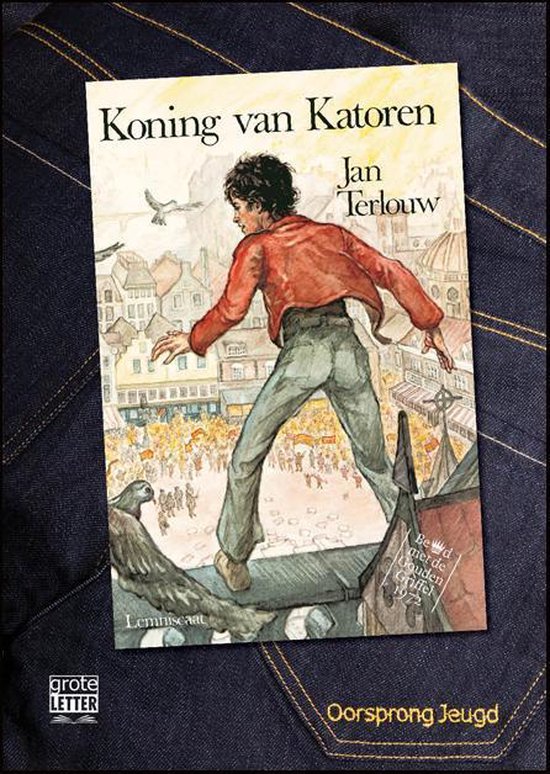 Cover van het boek 'De koning van katoren'