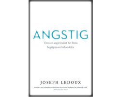 Omslag van Angstig