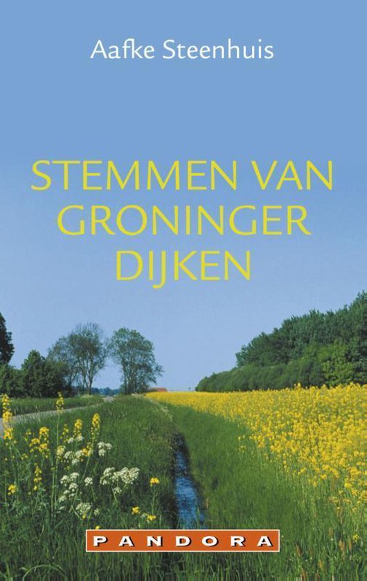 Cover van het boek 'Stemmen van Groninger dijken' van Aafke Steenhuis
