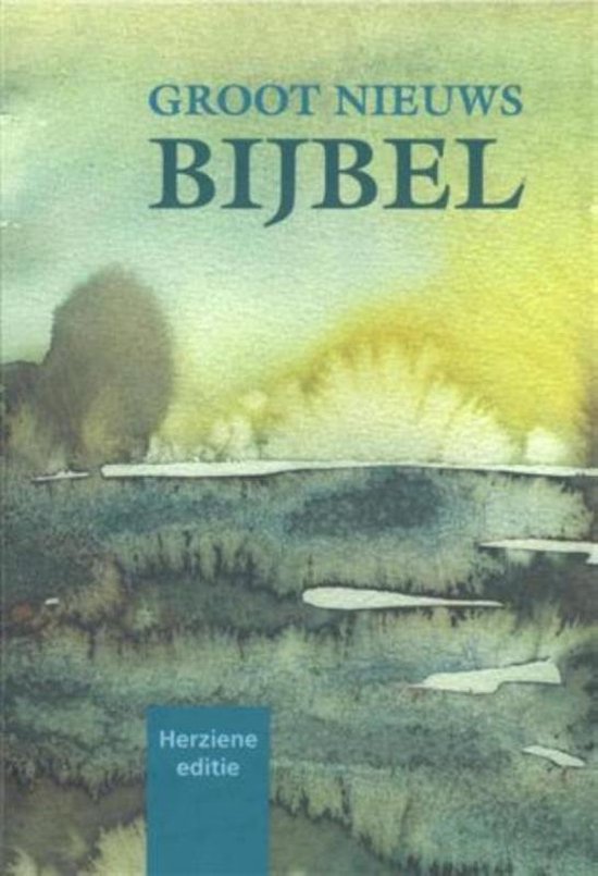 Cover van het boek 'Bijbel groot nieuws bijbel' van  Onbekend