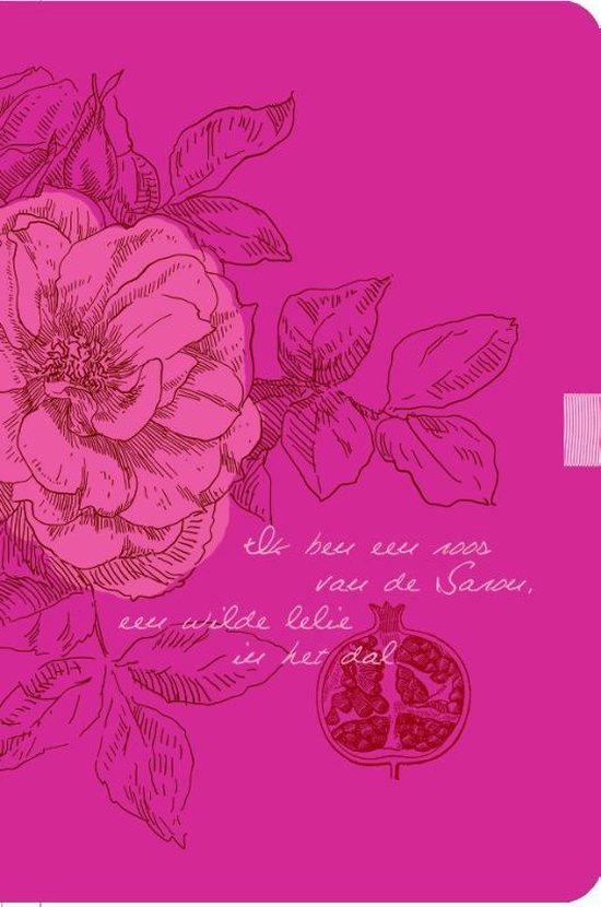 Cover van het boek 'Bijbel NBV'