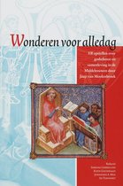 Middeleeuwse studies en bronnen 97 -   Wonderen voor alledag