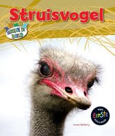 Dieren in beeld  -   Struisvogel