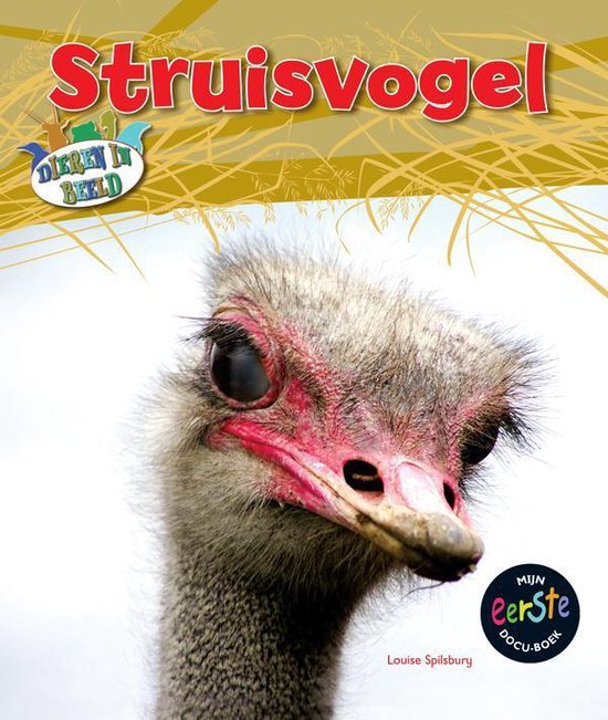 Dieren in beeld - Struisvogel