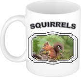 Dieren eekhoorntje beker - squirrels/ eekhoorntjes mok wit 300 ml