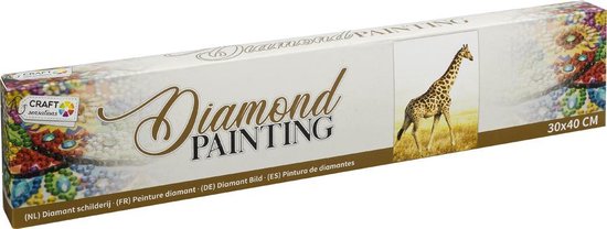 Diamond painting | Girafe | Taille: 30 x 40 CM | Comprend un stylo de  peinture au... | bol.com
