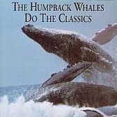 Humpback Whales Do The Classics