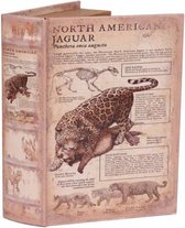 Book box 27 cm Jaguar