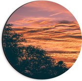 Dibond Wandcirkel - Boom met Zonsondergang Lucht - 20x20cm Foto op Aluminium Wandcirkel (met ophangsysteem)