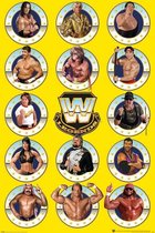 Pyramid WWE Legends Chrome  Poster - 61x91,5cm