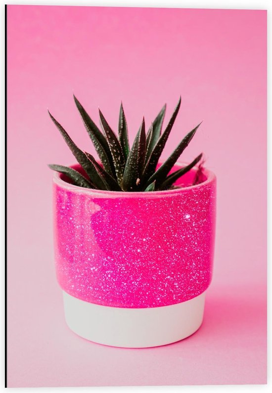 Dibond - Neon Roze Plantenpotje - 40x60cm Foto op Aluminium (Wanddecoratie van metaal)