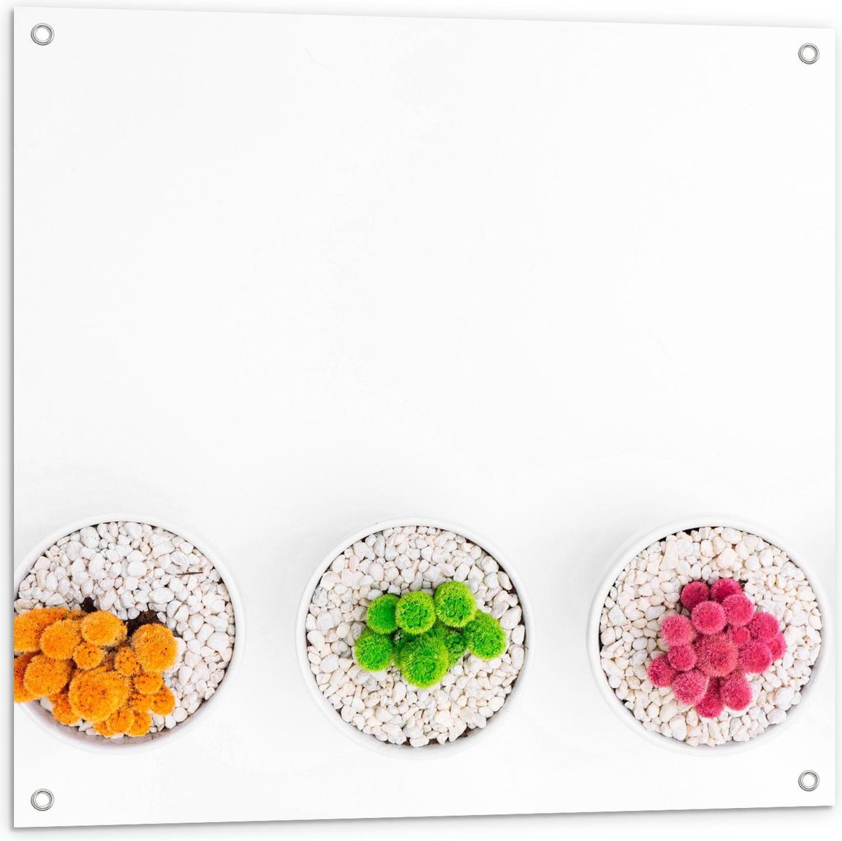 Tuinposter – Gekleurde Cactuspotjes - 80x80cm Foto op Tuinposter (wanddecoratie voor buite