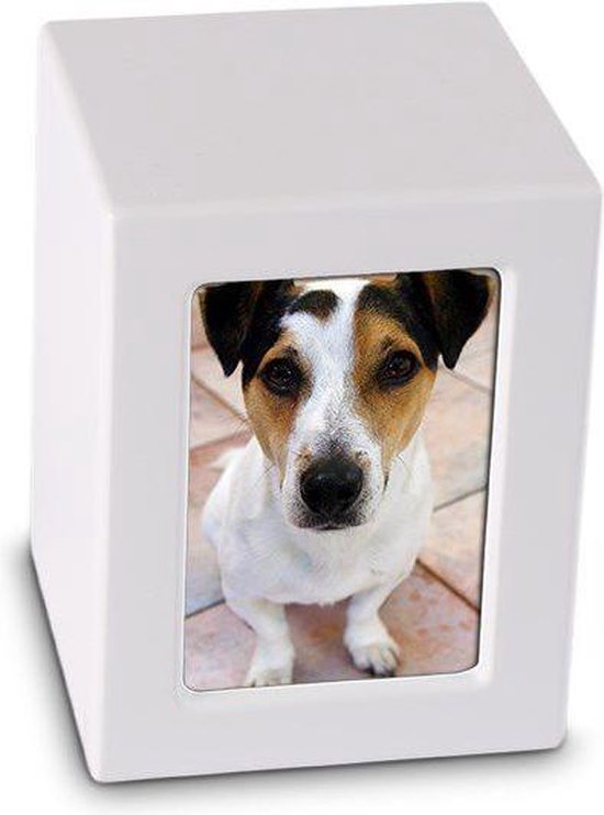 Urne blanche mate en forme de cube avec un cadre blanc, présentant une photo d'un Jack Russell Terrier.