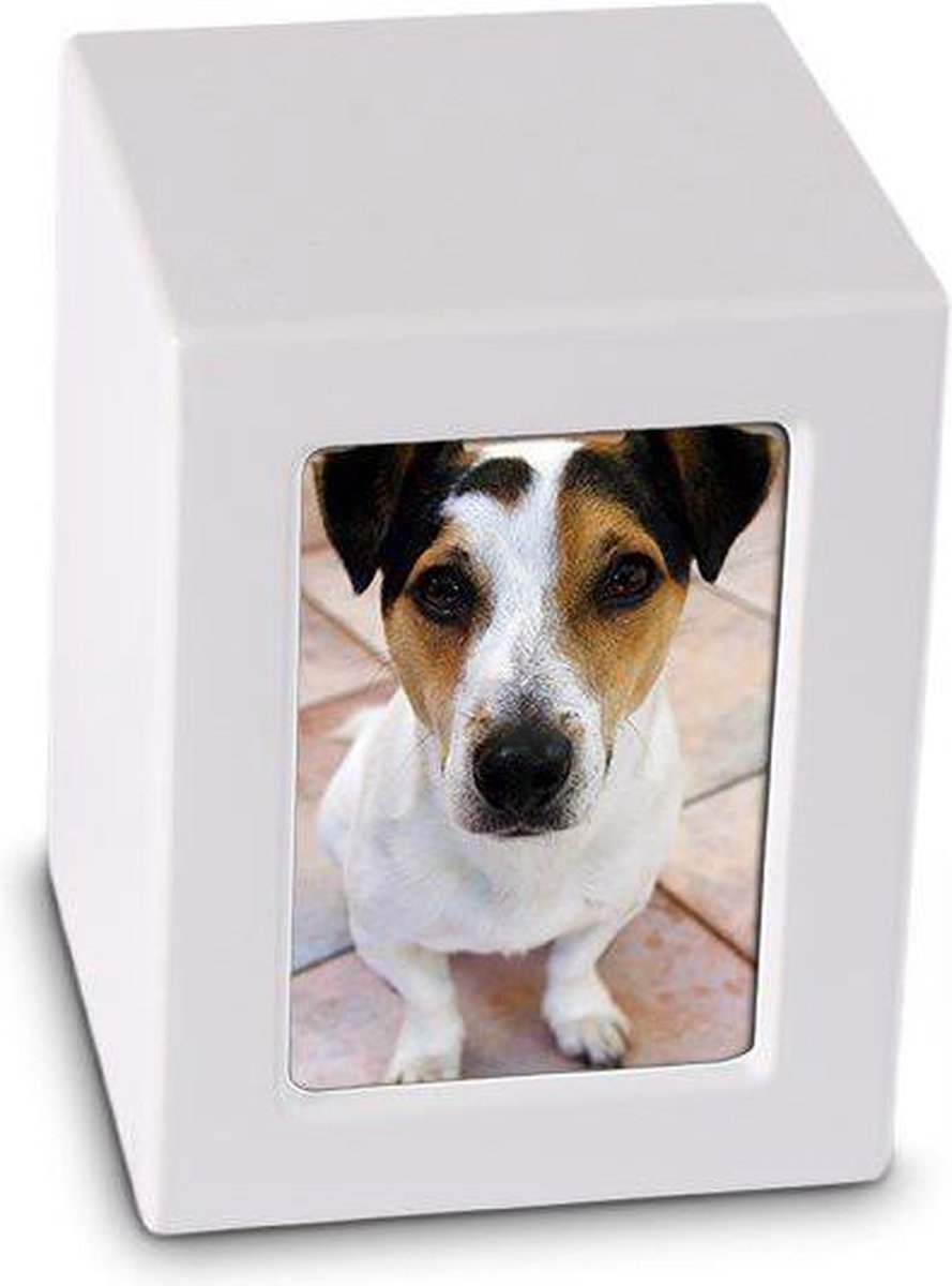 Foto Kist Urn Wit Mat - Houten urn voorzien van een veilige sluiting Groot - Asbeeld Dieren Urn Voor Uw Geliefde Dier - Kat - Hond - Paard - Konijn