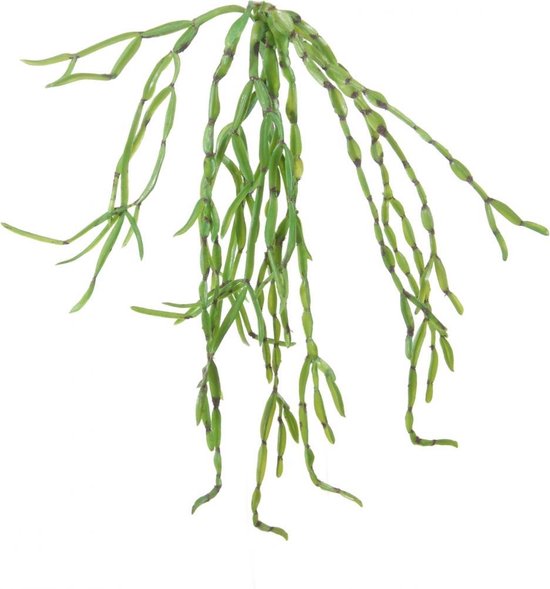 Kunst hangplant cactus helder groen l65cm