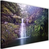 Schilderij Waterval in het bos, 2 maten, multi-gekleurd, Premium print