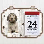 Scheurkalender 2023 Hond: Petit Basset Griffon VendÃ©en