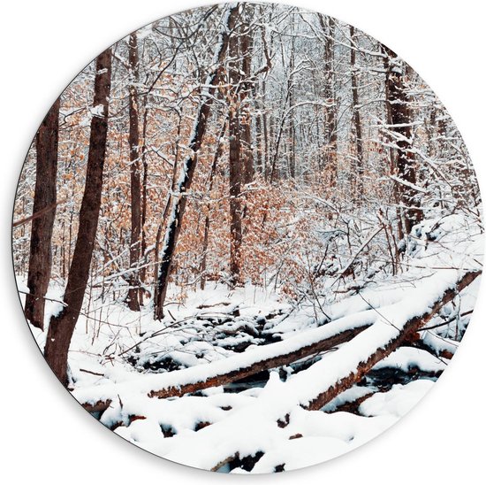 Dibond Wandcirkel - Bos in de Winter - Foto op Aluminium Wandcirkel (met ophangsysteem)