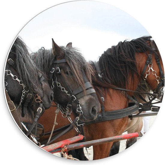 Forex Wandcirkel - Paarden met Kar op het Strand - 30x30cm Foto op Wandcirkel (met ophangsysteem)