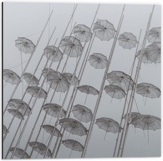 Dibond - Zwevende Paraplu's - 50x50cm Foto op Aluminium (Wanddecoratie van metaal)