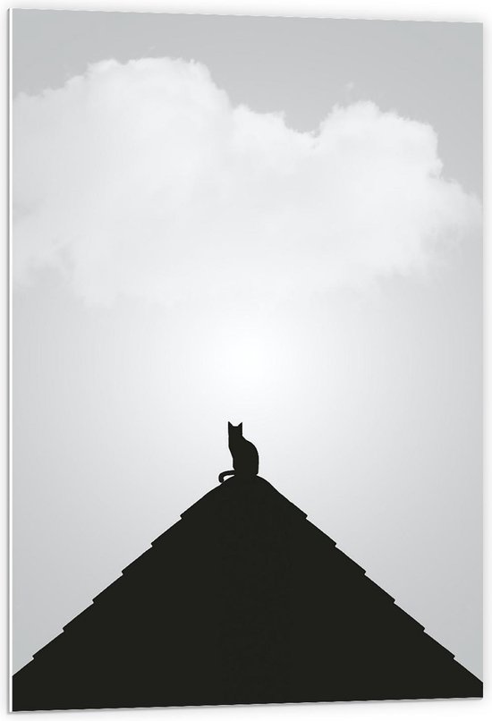 Forex - Silhouette Kat op Piramide - 60x90cm Foto op Forex
