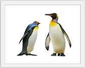 Foto in frame Pinguins, 3 maten, multi-gekleurd, Premium print