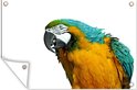 PDP.ProductImage.Thumb.Image.srtText 8