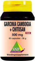 SNP Garcinia cambogia chitosan 500 mg puur 60 capsules