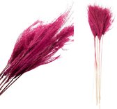 Fluffy grass dried 72 cm (10 stuks)