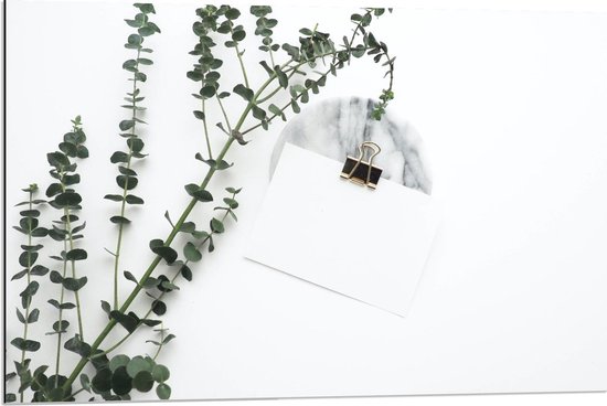 Dibond - Witte Enveloppe met Groene Plant - 90x60cm Foto op Aluminium (Wanddecoratie van metaal)