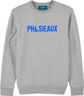 PHISIEAUX GRIJS SWEATER