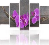 Schilderij , Paarse Orchidee 2 , 4 maten , 5 luik , multikleur ,Wanddecoratie , XXL