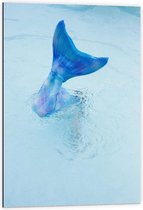 Dibond - Blauwe Zeemeermin staart in het Water - 60x90cm Foto op Aluminium (Wanddecoratie van metaal)