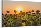 Schilderij - Rijp zonnebloemgebied bij zonsondergang met een mooie hemel — 90x60 cm