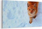 Schilderij - Roodharige kat in de sneeuw — 90x60 cm