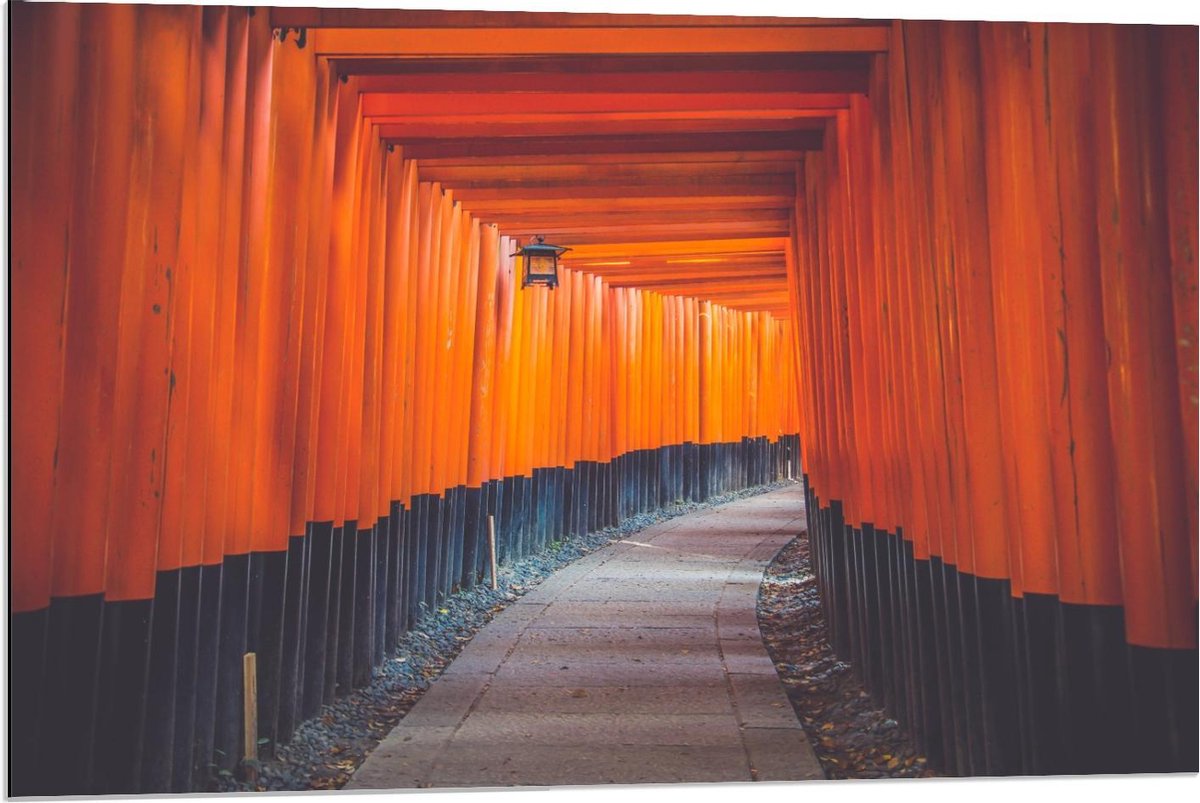 Dibond - Gang van Oranje Palen - 90x60cm Foto op Aluminium (Wanddecoratie van metaal)