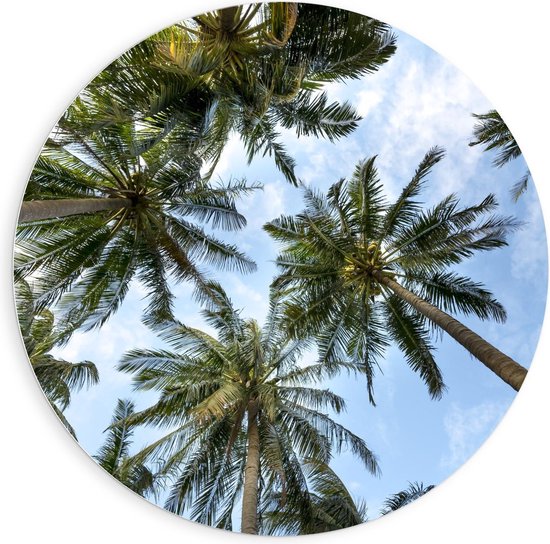 Forex Wandcirkel - Palmbomen in de Wind - 90x90cm Foto op Wandcirkel (met ophangsysteem)