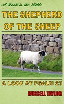 The Shepherd of the Sheep