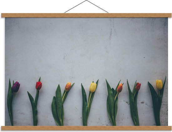 Schoolplaat – Rij van Gekleurde Tulpen - 90x60cm Foto op Textielposter (Wanddecoratie op Schoolplaat)