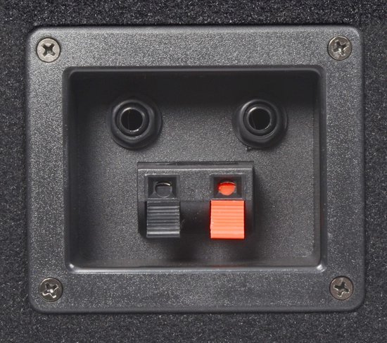 Zwarte luidsprekerconnector met twee ronde aansluitingen en een rode en zwarte "push-button" luidsprekerconnector.