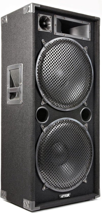 Zwarte luidsprekerkast met dubbele 15-inch woofers en hoorn tweeters. Metalen grill, handvatten en hoekbeschermers.