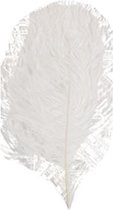 Witbaard Struisveer 28-32 Cm Wit