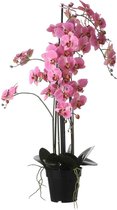 Mica Decorations Phalaenopsis Kunstplant - H97 x Ø19 cm - Plastic Pot - Roze