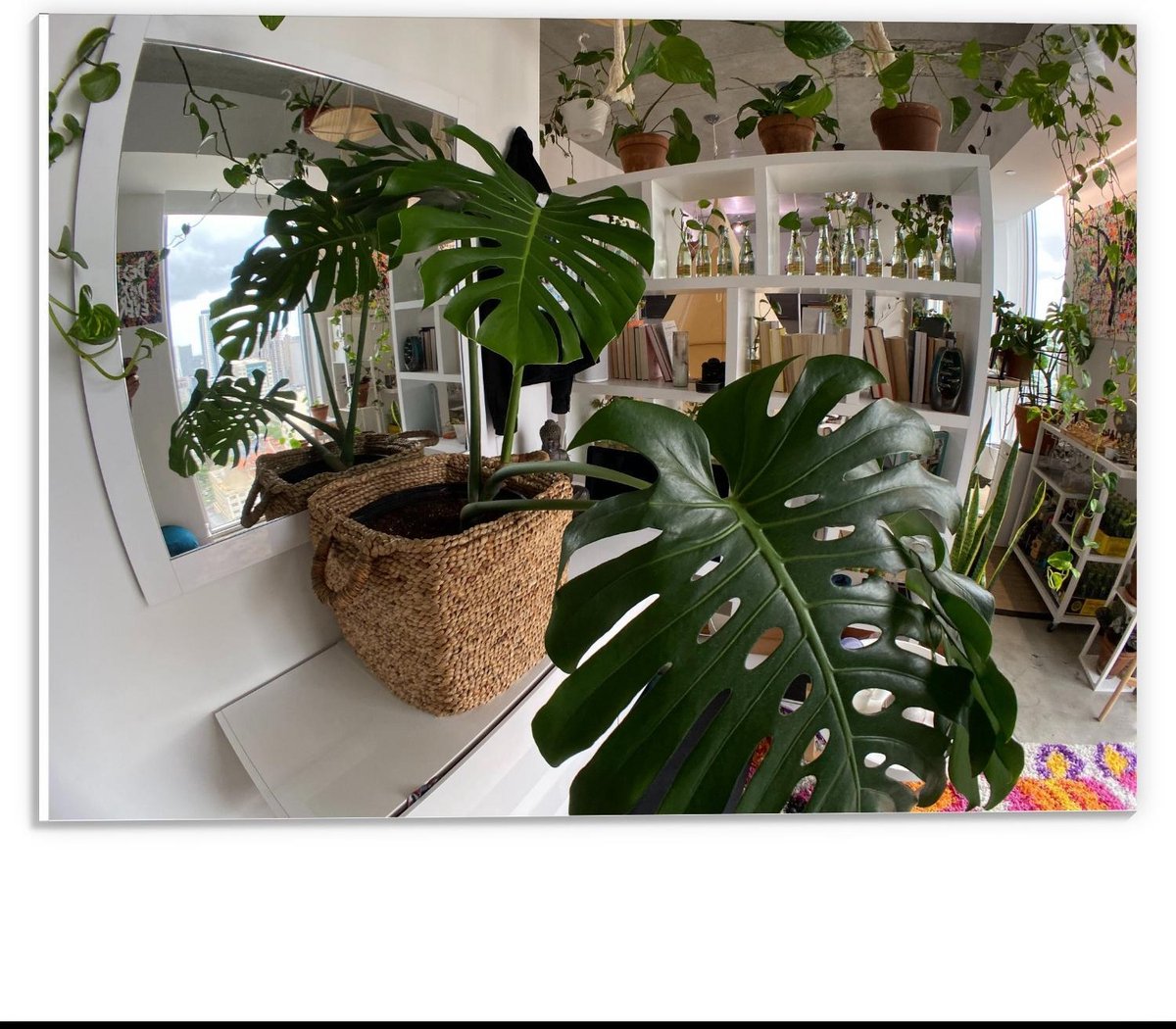 Forex - Woning gevuld met Planten - 40x30cm Foto op Forex