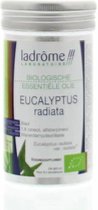 Eucalyptus radiata olie bio (10ml)