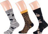Apollo Animal Black Socks | 3-Pack Giftbox | Maat 41-46