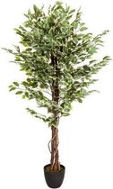 FICUS | Kunstplant - Groen